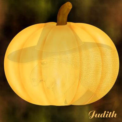 albumpi2