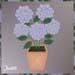 hortensie